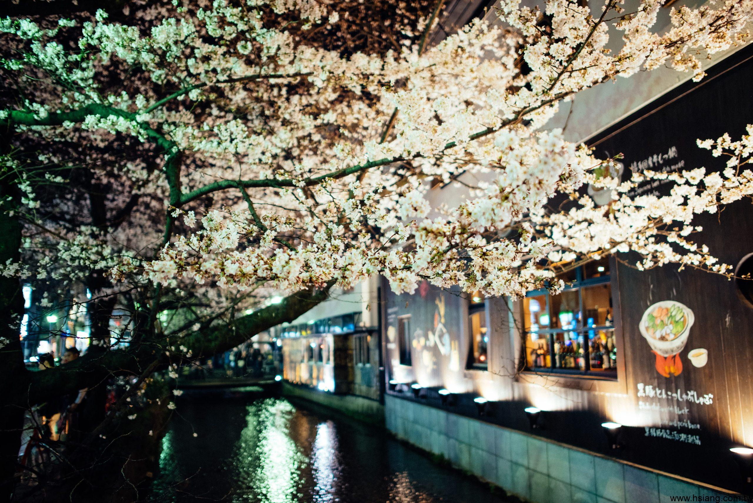 201503-日本關西賞櫻之旅 Part 1