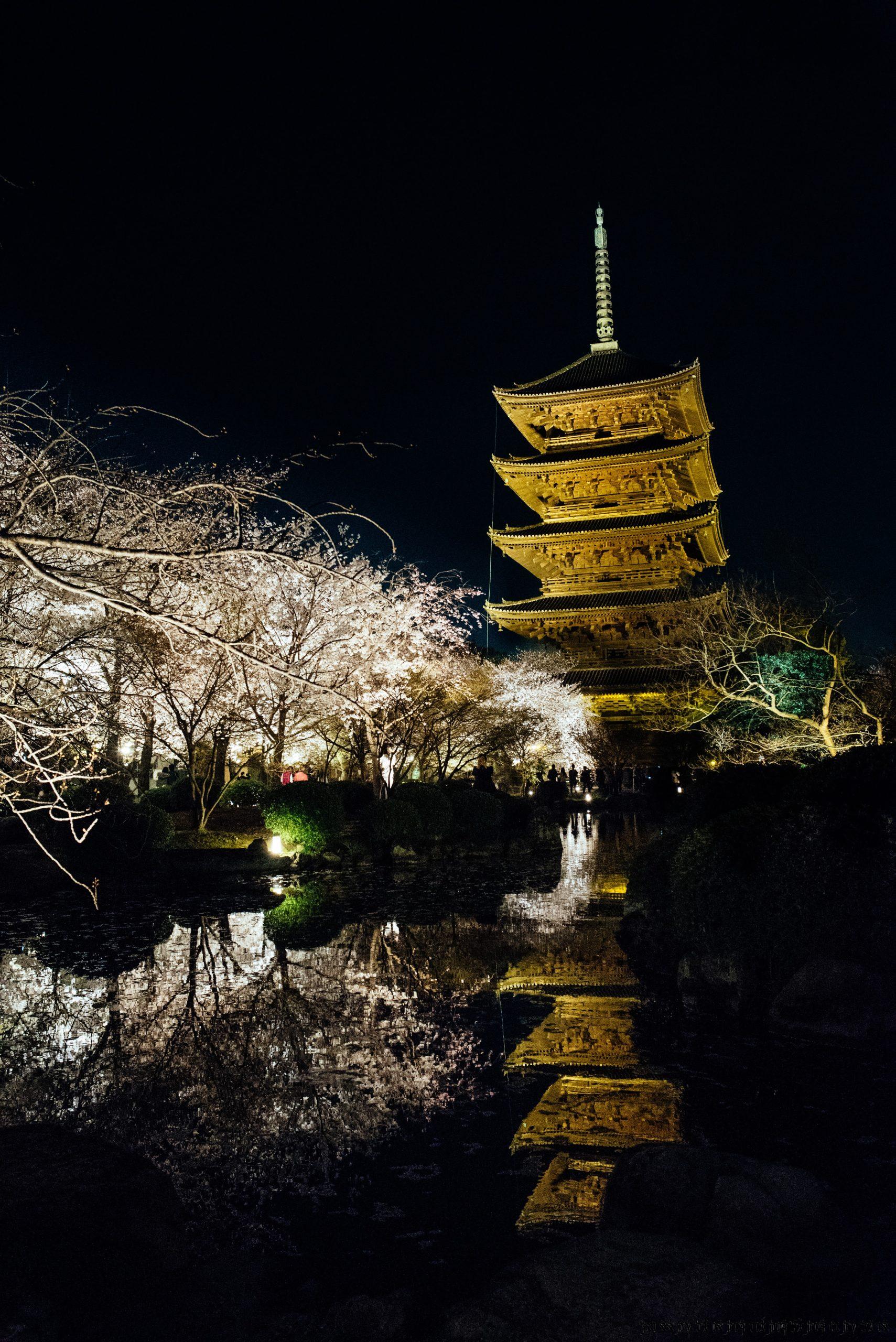 201504-日本關西賞櫻之旅 Part 2