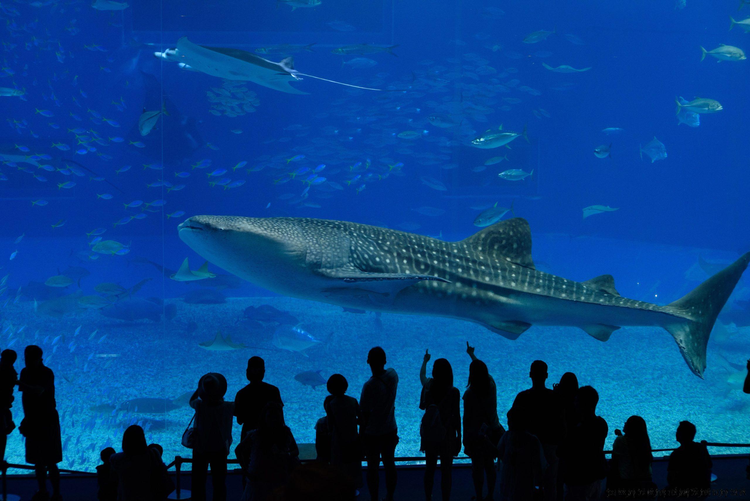 201508-沖繩慶生之旅
