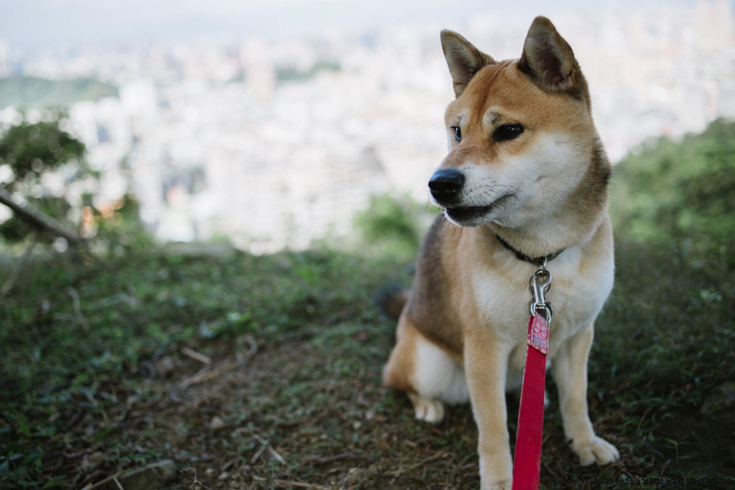 201512-帶許多去烘爐地爬山