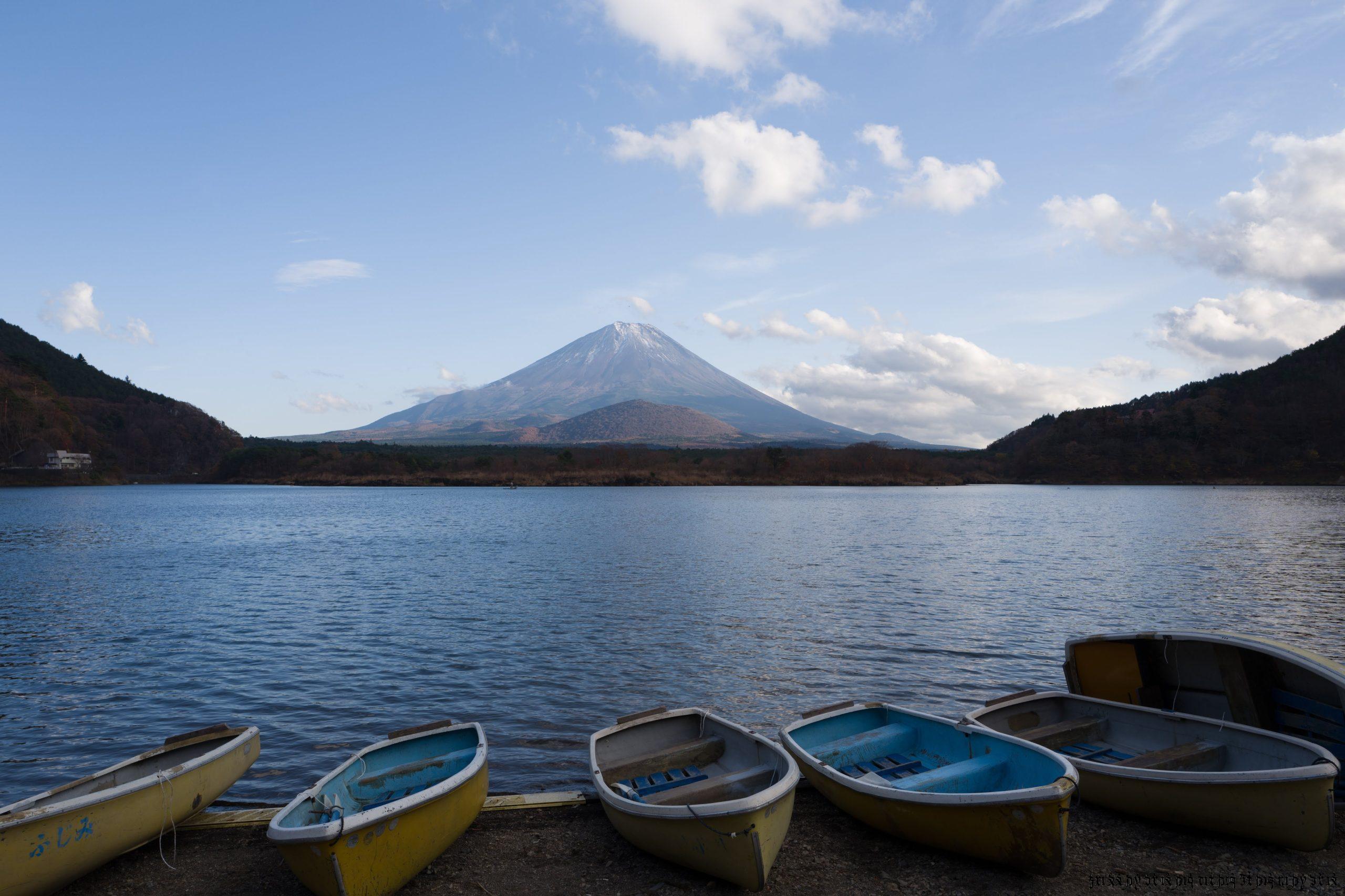201711-東京近郊紅葉狩I